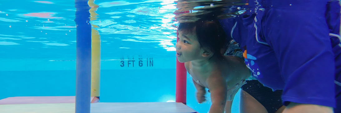 Photo of Swimming